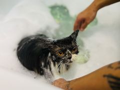 -FAELING PETS美天灵宠物(富力广场店)