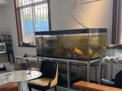 -灵龟之家百象馆(百象馆联合旗舰店)