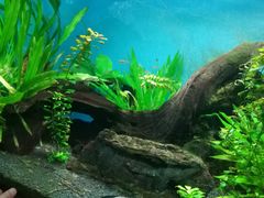 -太平洋海底世界