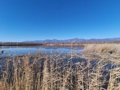 -野鸭湖国家湿地公园