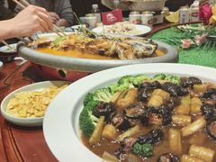 -津沽小院(天津之眼店)