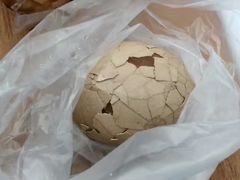 -金盆阿嬷香菇茶叶蛋(玄光店)