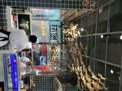 -好彩猪肚鸡(正弘城店)