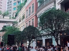 环境-金凤茶餐厅(湾仔店)