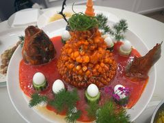 -丁老爷子苏香圆