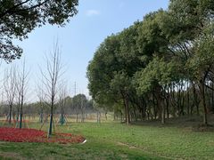 -新洲生态园