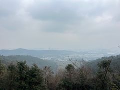 -旺山景区