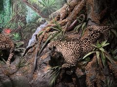 -武汉园博园(武汉自然博物馆)