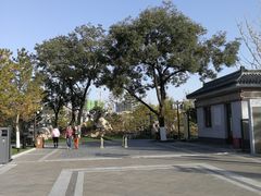 -西海子公园