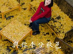 -自如ZSPACE四合院艺术餐厅