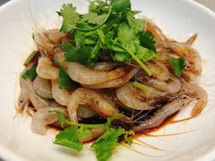 -苏启渔港(云南北路店)