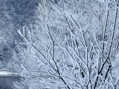 -秦岭终南山世界地质公园翠华山景区