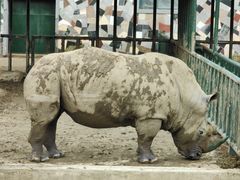 -哈尔滨北方森林动物园