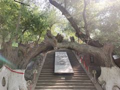 -水磨沟公园