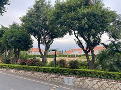 -厦门悦华酒店