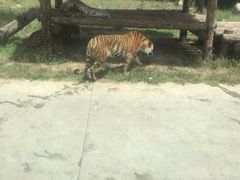 -西安秦岭野生动物园