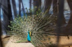 -酷嗒动物文化乐园(cutezoo西溪乐天城店)