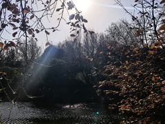 -思念果岭悦温泉