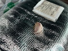 -岳姥姥饺子(泺文路店)