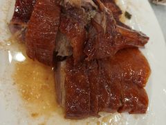 -姚林轩