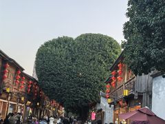 -三坊七巷历史文化街区