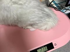 -创凡宠物医院·骨专科  猫科中心(西乡分院)