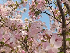 -仙海旅游度假区