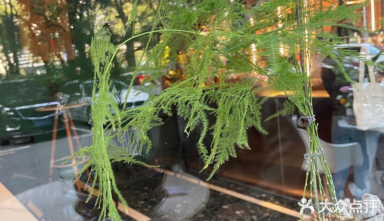 咖啡日记 | 甜蜜的印记[愉快]