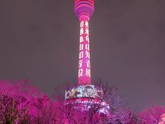 -龟山风景区-龟山电视塔