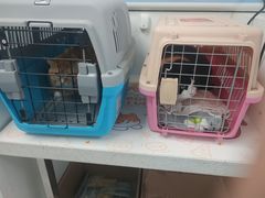-纳吉亚猫专科动物诊疗中心(蒋宅口分院)