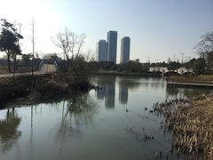 -尚贤河湿地