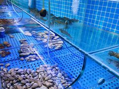 -前王院•巧克力海鲜市集餐厅(万平口店)