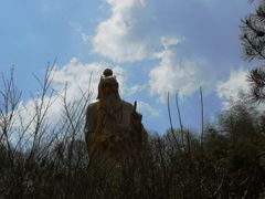 -商洛老君山旅游风景区