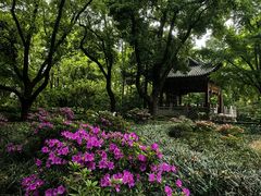 -汇龙潭