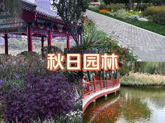 -西海子公园
