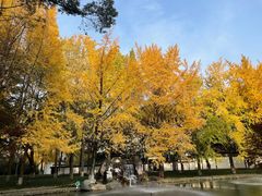 -温江公园