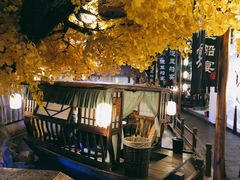 -淀里船宴(裕华东路店)