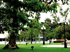 -五世皇金柚木行宫(维护中)