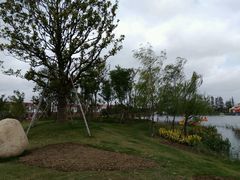 -上海长兴岛郊野公园