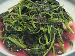-洞庭家宴·头牌甲鱼(广渠门店)