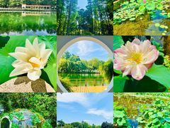 -古德寺素菜馆