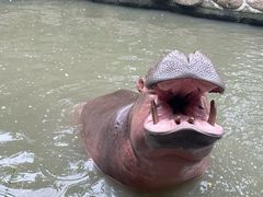 -宁波野生动物园