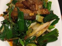 回锅肉-陈麻婆豆腐总店