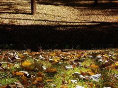 -森林公园(尖草坪区)