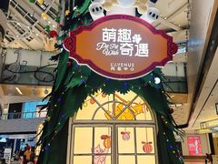 -上海尚嘉中心