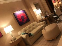 -拉斯维加斯永利酒店