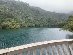 -鼎湖山风景区