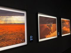 -罗红摄影艺术馆