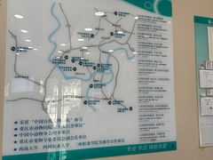 -瑞派名望24h动物医院异宠专科·猫专科·骨科·重症监护分院