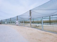 -盐城丹顶鹤湿地生态旅游区